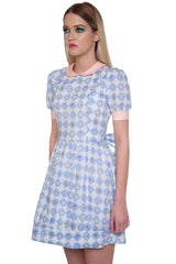 Baby Animals Flare Dress