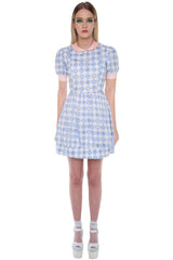 Baby Animals Flare Dress