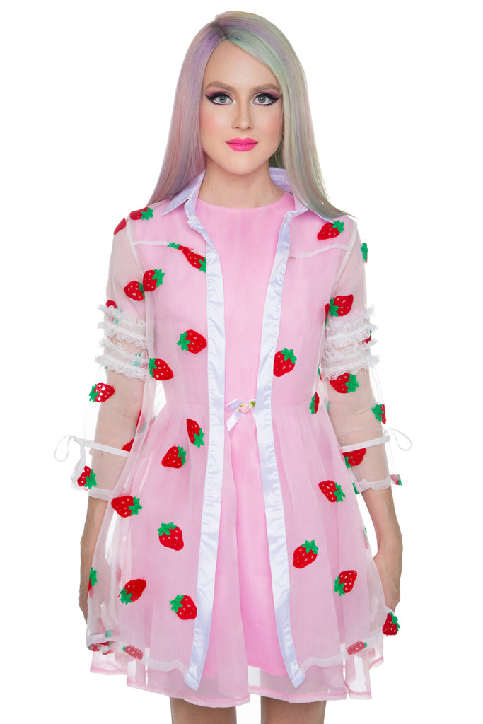 strawberry sheer dress Some of you had asked to see the outcome of the strawberry dress after all my questions. Voila!!! : r/sewing